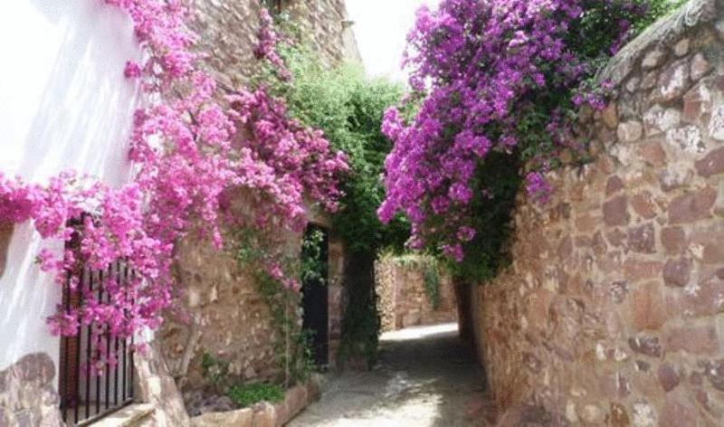 El Jardin Vertical ヴィラファメス エクステリア 写真