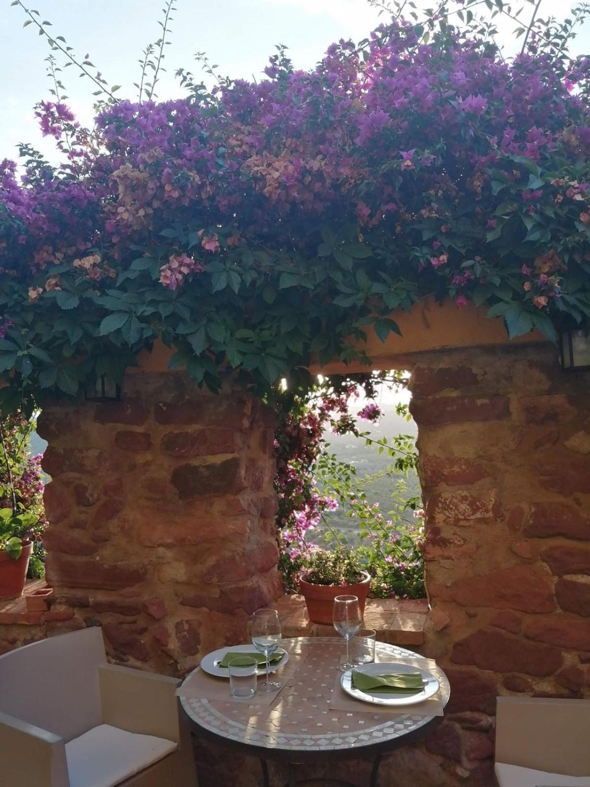 El Jardin Vertical ヴィラファメス エクステリア 写真